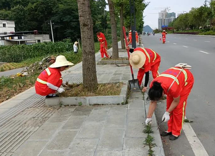 新項目 新篇章！——遵義市匯川區(qū)分公司匯川區(qū)環(huán)衛(wèi)市場化項目（一標(biāo)段）正式啟動