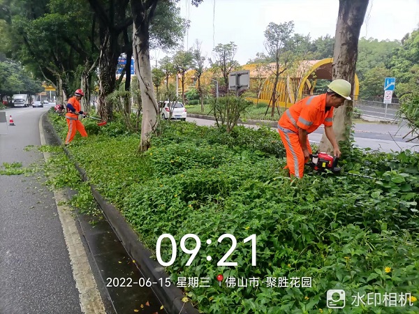 項(xiàng)目動(dòng)態(tài) | 打造美麗鳳城，筑文明城市生態(tài)